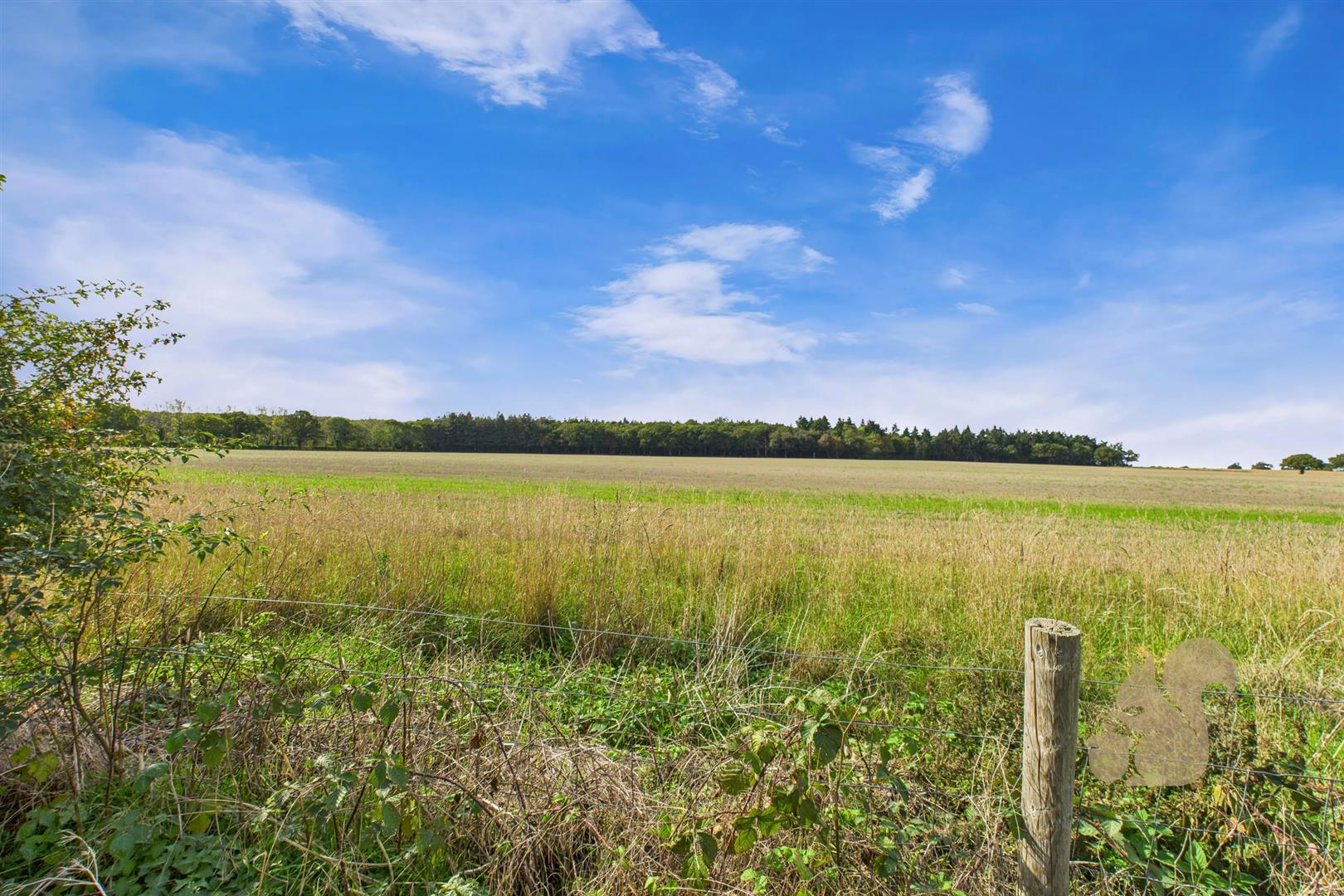 Field Views To Rear